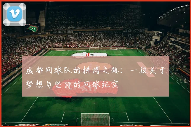 成都网球队的拼搏之路：一段关于梦想与坚持的网球纪实