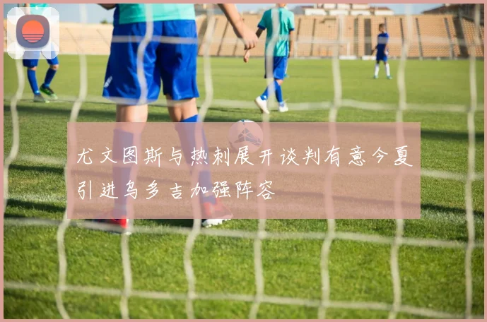 尤文图斯与热刺展开谈判有意今夏引进乌多吉加强阵容