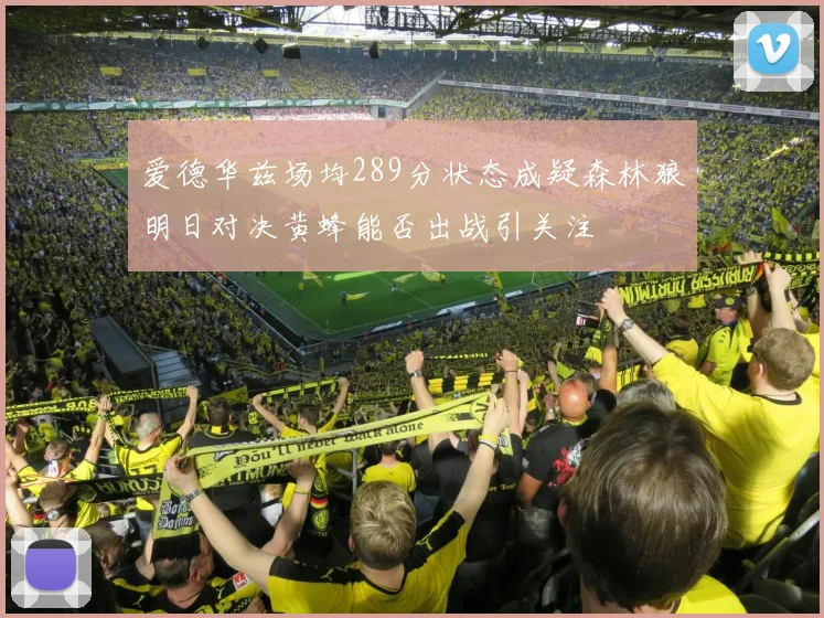 爱德华兹场均289分状态成疑森林狼明日对决黄蜂能否出战引关注